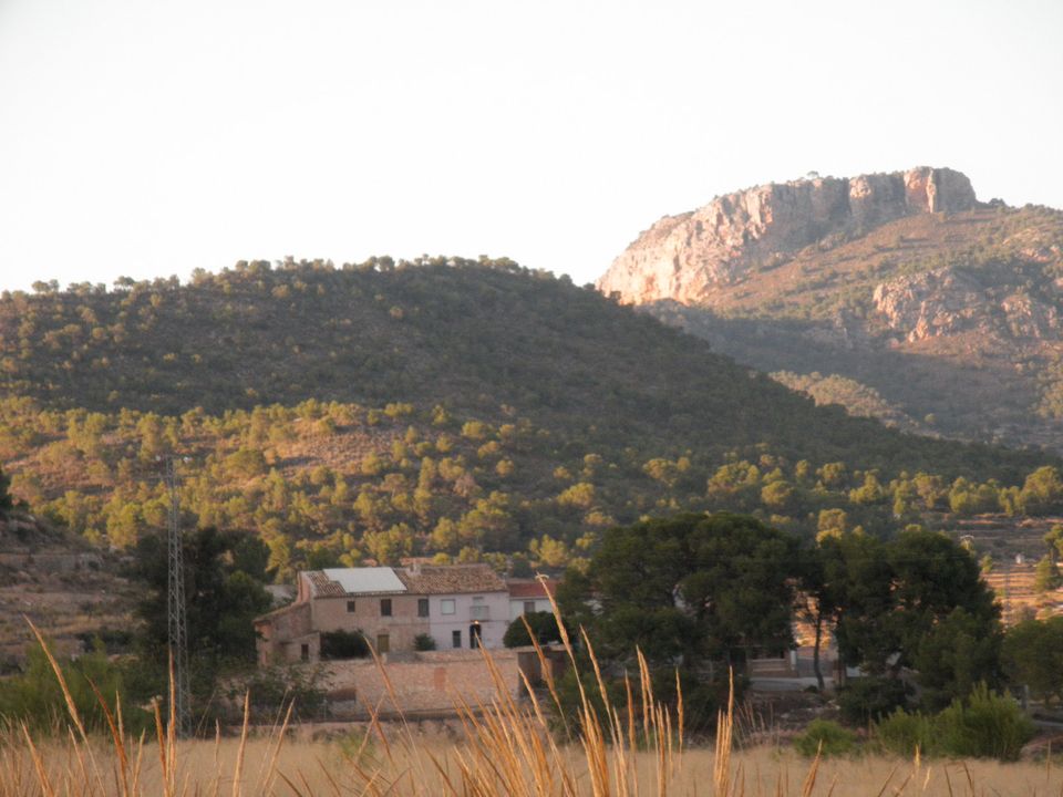 Landejendom i La Romana, Alicante - foto 3